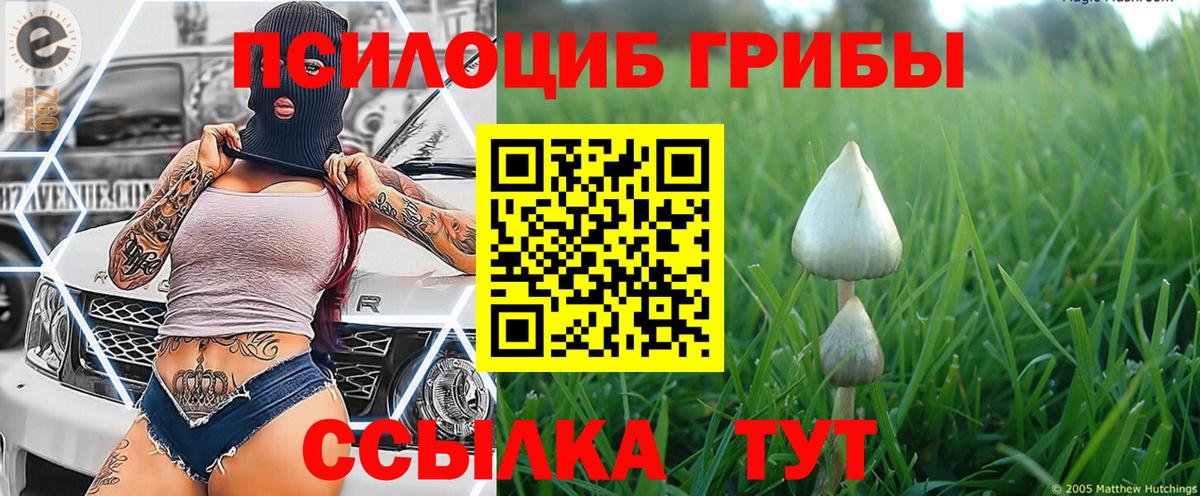 Галлюциногенные грибы Magic Shrooms  Вход с VPN  Заволжье 