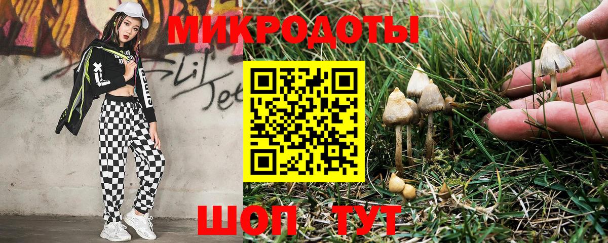 Псилоцибиновые грибы Psilocybine cubensis Заволжье